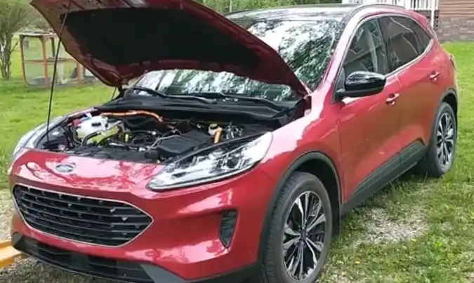 Ford Escape Hybrid Maintenance Cost